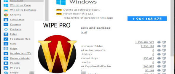 Wipe Professional 2021.10 + Portable