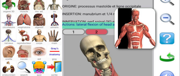 Visual Anatomy 2 build 40