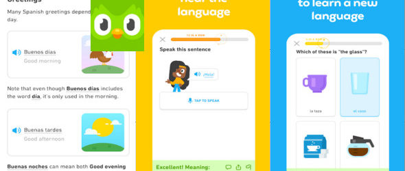 Duolingo 4.75.2 Apprendre des langues