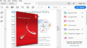 Adobe Acrobat Pro DC 2023 v23.8.20555 Préactivé