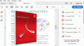 Adobe Acrobat Pro DC 2024 v24.1.20687 Préactivé