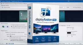 DisplayFusion Pro v12.1