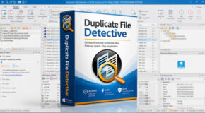 Duplicate File Detective v8.0.85 Enterprise Edition + Portable