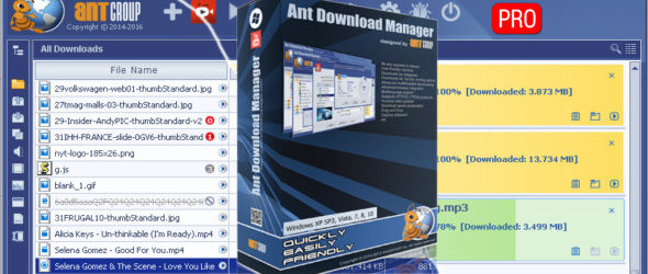 Ant Download Manager Pro Portable 2.2.5.78027