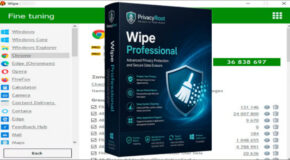 Wipe Professional v2026.05 + Portable