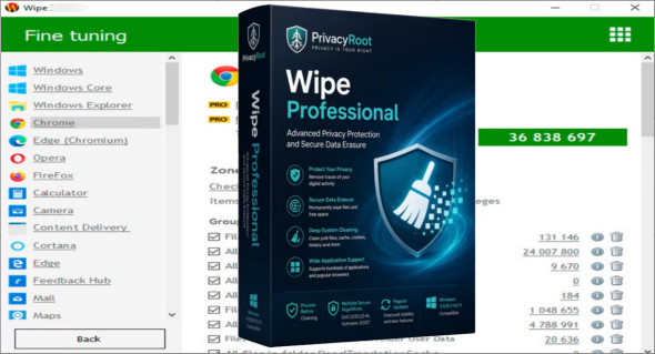 Wipe Professional v2026.07 + Portable