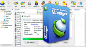 Internet Download Manager 6.41 Build 3