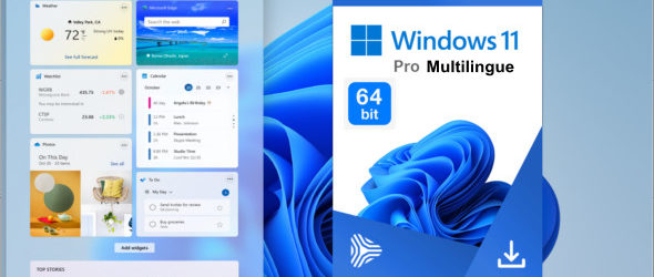 Windows 11 Pro v10.0.22000.318 x64 Multilingue