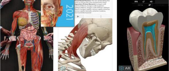 Human Anatomy Atlas 2021.2.27