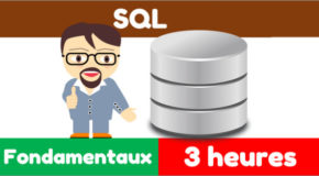 101 requêtes pour maîtriser SQL