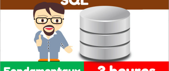 101 requêtes pour maîtriser SQL