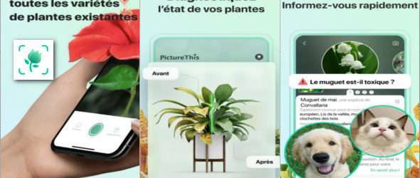 PictureThis Premium MOD v3.38