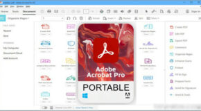 Adobe Acrobat Pro DC Portable v2024.001.20615