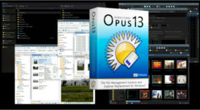 Directory Opus 13.5 Build 8871