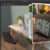 Adobe Substance 3D Stager v3.1.2 Préactivé