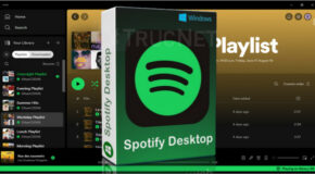 Spotify Desktop v1.2.65.255