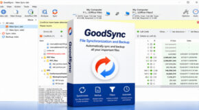 GoodSync v12.11.6.6