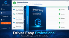 Driver Easy Professional v7.1.2.0 + Portable