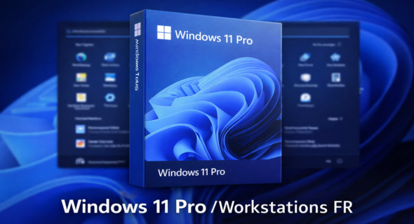 Windows 11 Pro 25H2 / Pro Workstations (December 2025) En