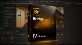 Adobe Bridge 2026 v16.0.5 Pré-activé
