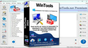 WinTools Professional / Premium v26.4.1 + Portable