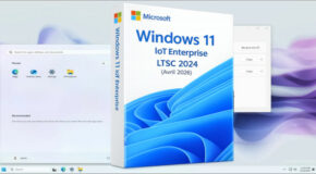 Windows 11 IoT Enterprise LTSC 2024 2in1 Fr (Avril 2026)