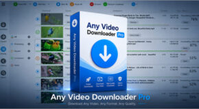 Any Video Downloader Pro v10.4.0 + Portable