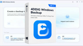 Tenorshare 4DDiG Windows Backup v1.1.2 + Portable