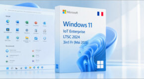 Windows 11 IoT Enterprise LTSC 2024 3in1 Fr (Mai 2026)