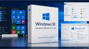 Windows 10 Entreprise LTSB 2016 3in1 Fr x64 (Juin 2026)