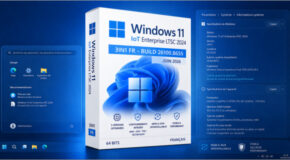 Windows 11 IoT Enterprise LTSC 2024 3in1 Fr (Juin 2026)