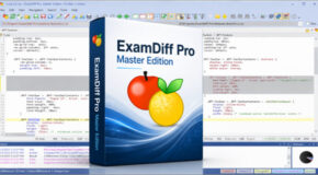 ExamDiff Pro Master Edition v17.0.1.7 + Portable