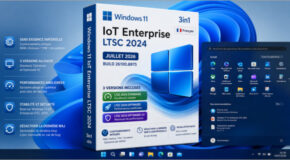 Windows 11 IoT Enterprise LTSC 2024 3in1 Fr (Juillet 2026)